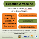 The Hepatitis A Vaccine is 2 Doses Flyer The Hepatitis A Vaccine is 2 Doses Flyer