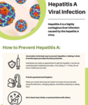 Hepatitis A Prevention Poster Hepatitis A Prevention Poster