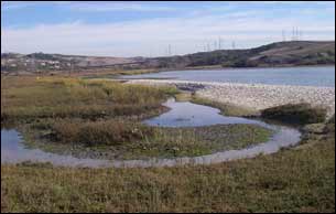 Agua Hedionda Lagoon