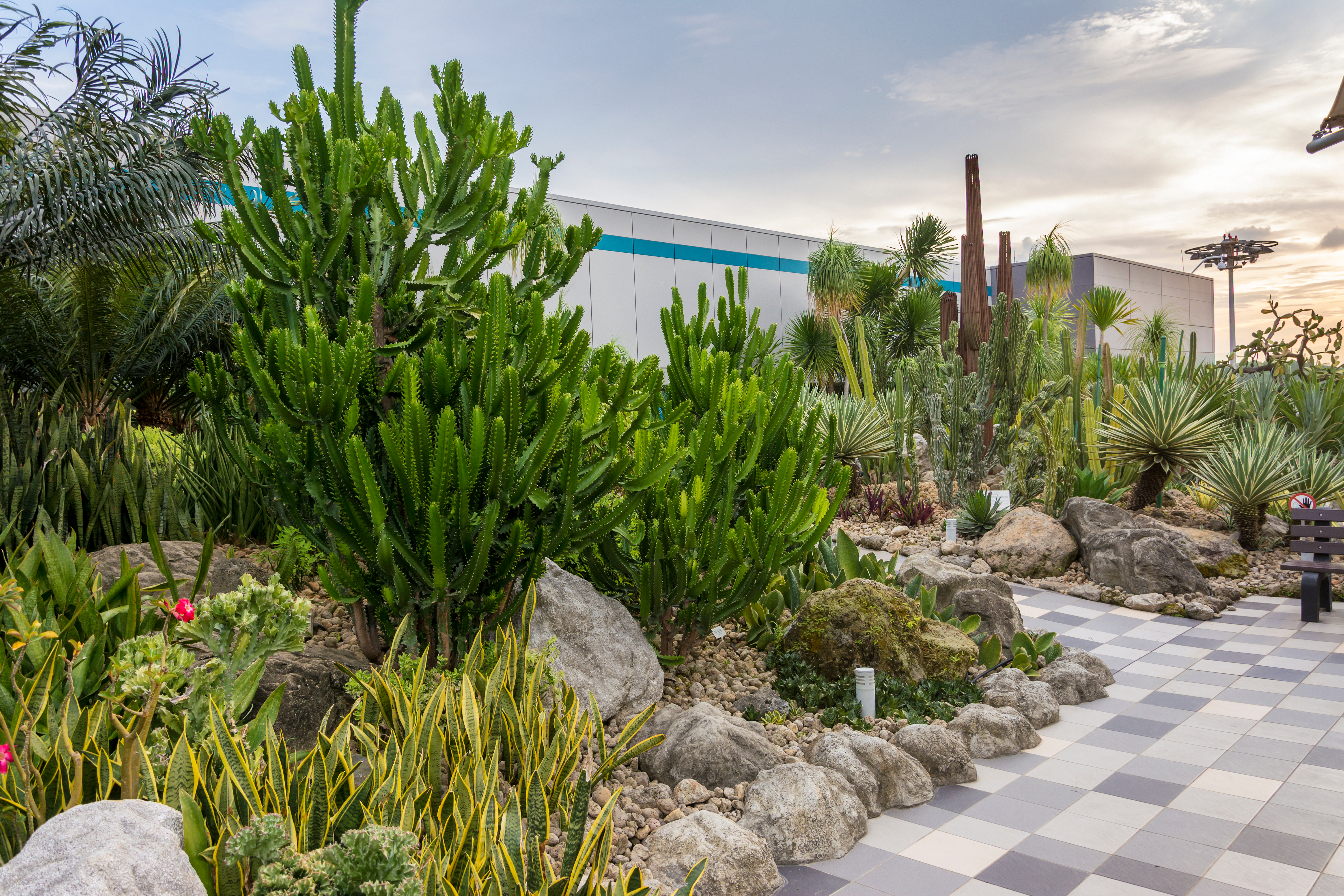 Sustainable Landscaping on a large commercial property