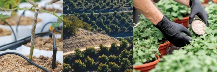 AWQ Banner Agricultural Water Quality Operations