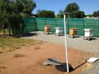 Bee hives next to flyover barrier Bee hives next to flyover barrier