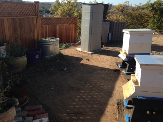 Backyard beekeeping setup example