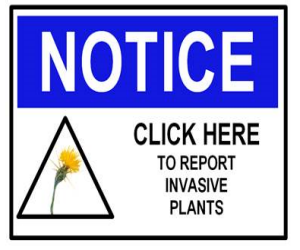 Report an Invasive Plant Updated.docx