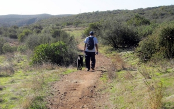 8 Tips for Hiking with Your Dog