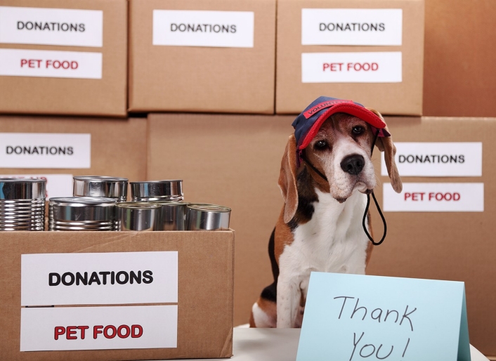 Dog with boxes of donations