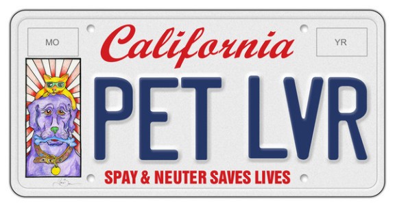 Vehicle license plate says PETLVR