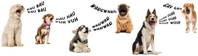 How to report a barking dog Dogs barking