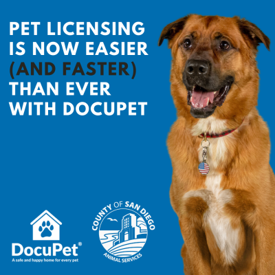 Docupet Docupet Flyer "Pet Licensing is now easier and faster than ever with Docupet"