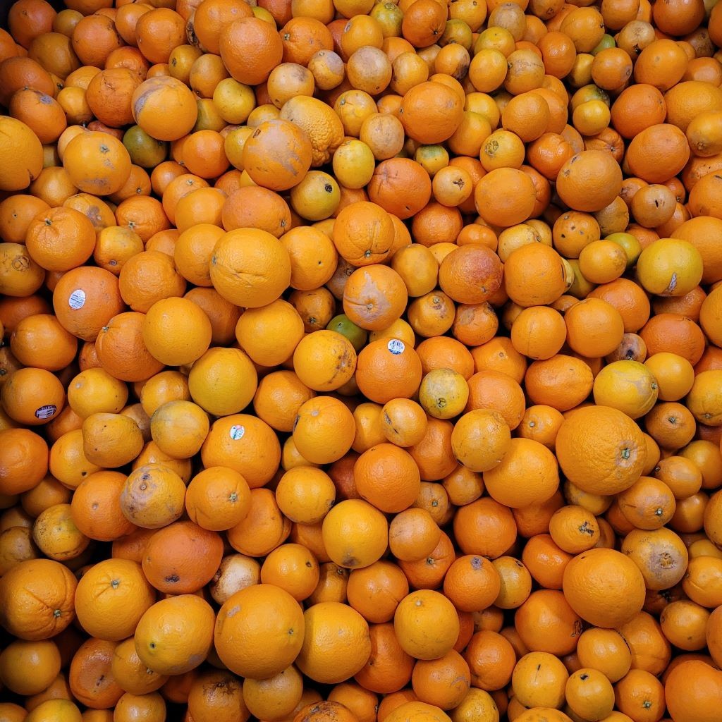 sb1383_wholesale wholesale food vendors and distributors