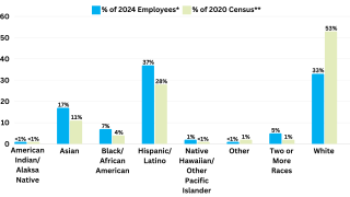 American Indian/Alaksa Native: County and Census = <1%; Asian: County = 17% and Census = 11%; Black/African American: County = 7% and Census = 4%; Hispanic/Latino: County = 37% and Census = 28%; Native Hawaiian/Other Pacific Islander: County = 1% and Census = <1%; Other: County = <1% and Census = 1%; Two or More Races: County = 5% and Census = 1%; White: County = 33% and Census = 53%.