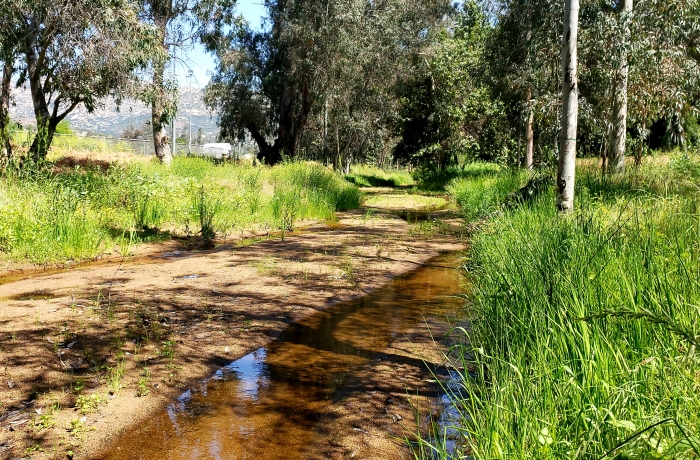 Watercourse Enforcement