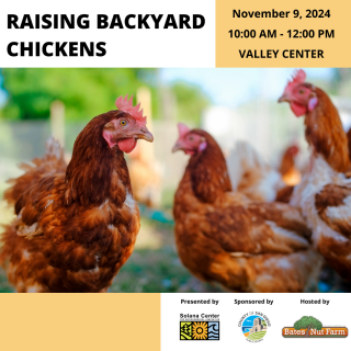 Top left corner reads black text Raising Backyard Chickens, Top right corner reads black text November 9, 2024 10am-12-pm Valley Center, Below is image of 3 brown roosters with a blurred farm background