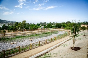 Estrella County Park Biofiltration and Trash Capture Project