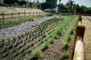 Biofiltration basin at Estrella County Park