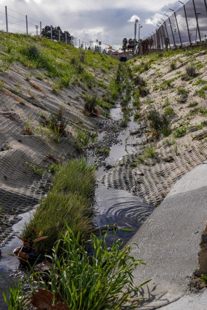 Mapleview Street Stormwater Dispersion Area