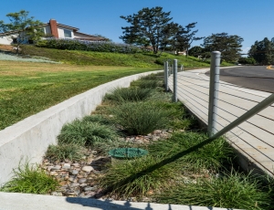 San Marino Drive Green Streets and Trash Capture Project