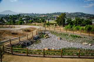 Estrella Park Biofiltration and Trash Capture Project