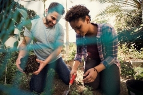 people gardening