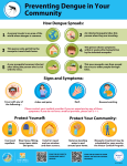 Preventing Dengue in Your Community Preventing Dengue in Your Community