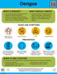 Dengue Infographic Dengue Infographic