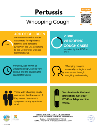 Pertussis flyer Pertussis flyer