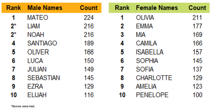 2023 Baby Names 2023 Baby Names
