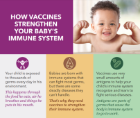 Immune System Immune System