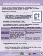 PHPP Delivery Hospital Brochure Preview Perinatal Hepatitis B Delivery Hospital Brochure