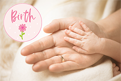 Hands Vaacine Shortly after Birth