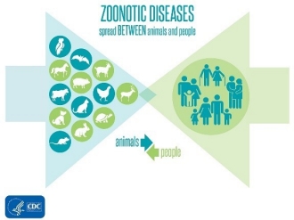 Zoonotic Diseases