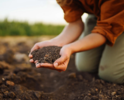 Build Healthy Soil 