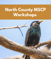 North County MSCP Workshops North County MSCP Workshops